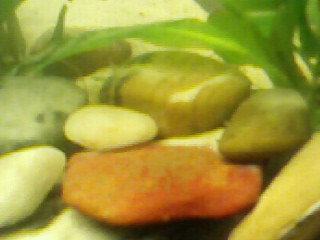 Photo-0010.jpg