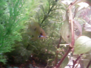 Photo-0013.jpg