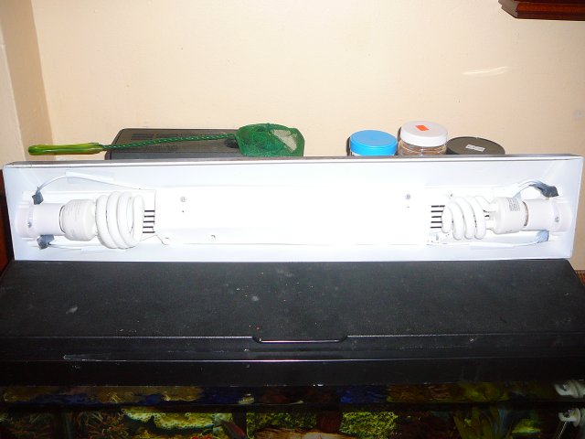 light1.JPG light1.JPG