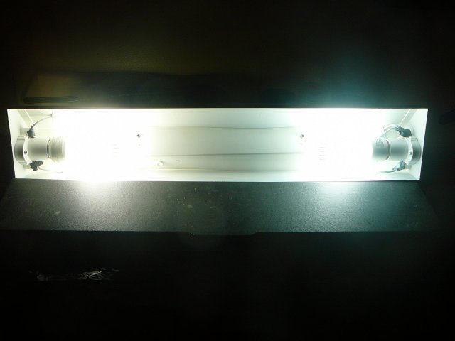 light2.JPG light2.JPG