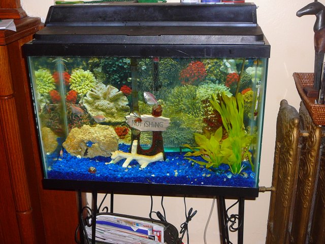 tank2.JPG tank2.JPG