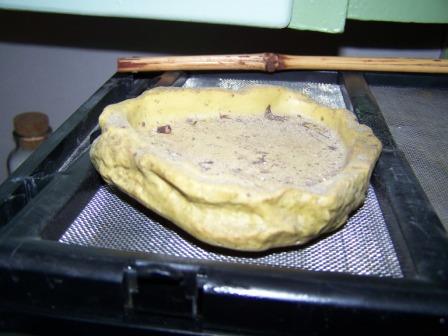 dish.jpg