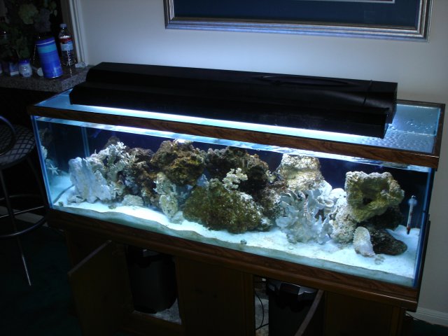 protien skimmer 002.jpg protien skimmer 002.jpg