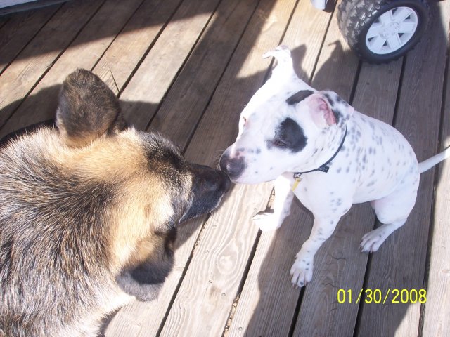 000_6105_0001.JPG