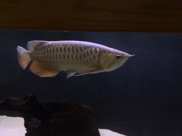 07012007813.jpg