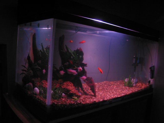 Picture 021.jpg
