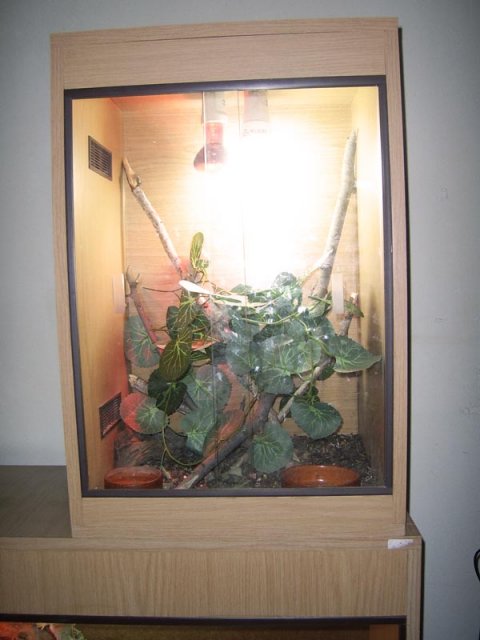 SSA45655.JPG