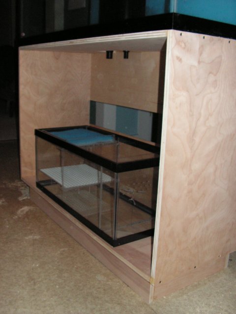 Fish Tanks 020.jpg