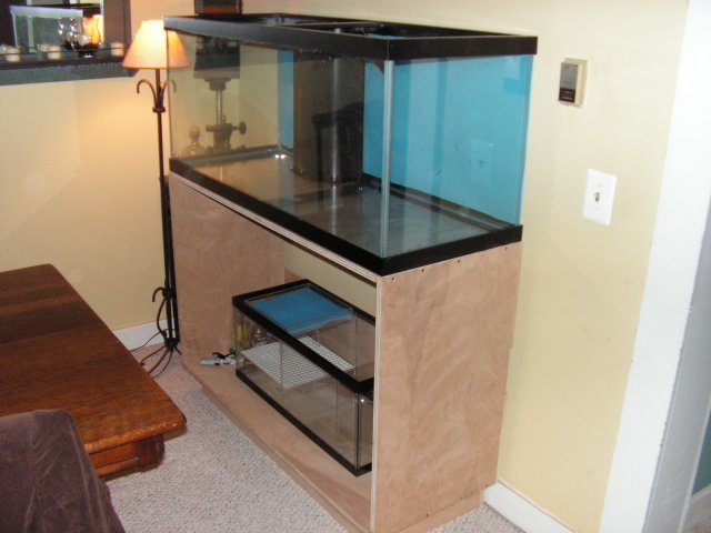 Fish Tanks 023.jpg