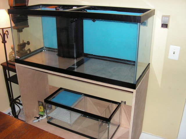 Fish Tanks 025.jpg