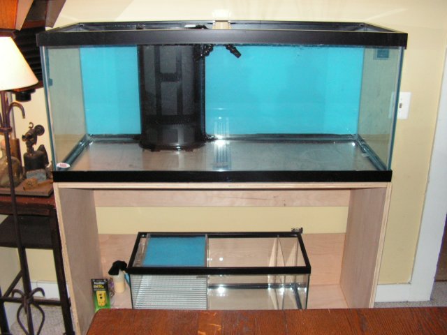 Fish Tanks 026.jpg