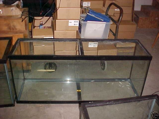 4702_3.jpg