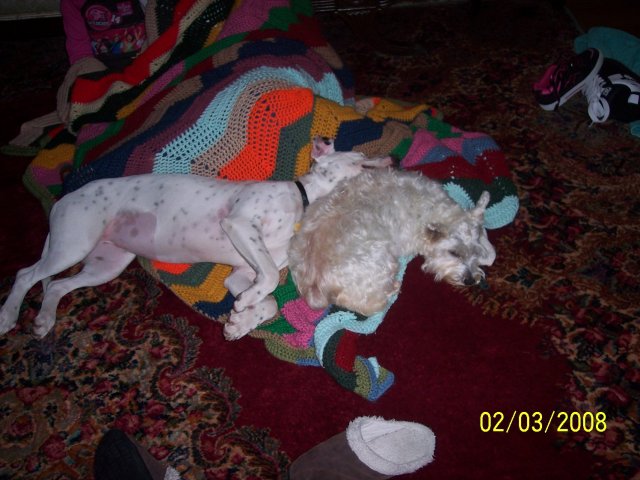 000_6174.JPG