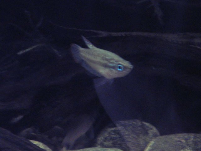 IMG_0465.JPG