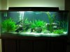 Full Tank.JPG Full Tank.JPG