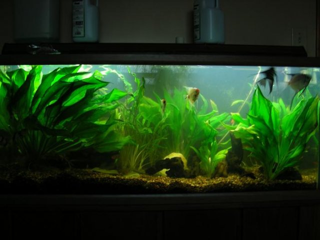 Front View.JPG Front View.JPG