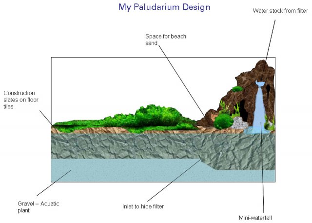 Phyroath Paludarium.jpg