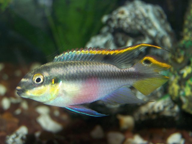 more randoms 011.jpg more randoms 011.jpg