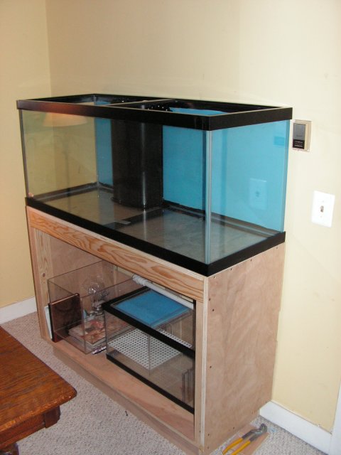 Fish Tanks 028.jpg