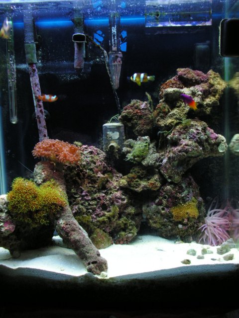 FTS.jpg