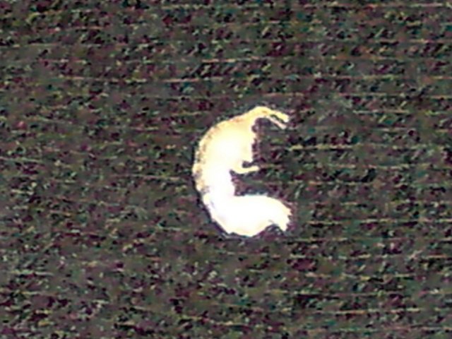 DSC00398_edited.JPG