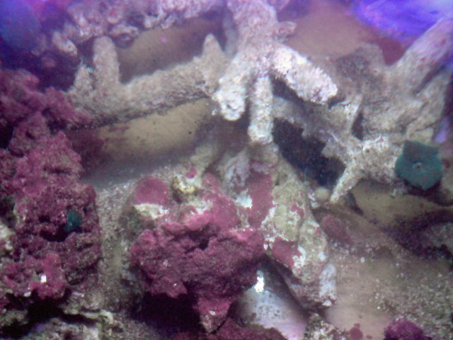 DSC00383_edited.JPG