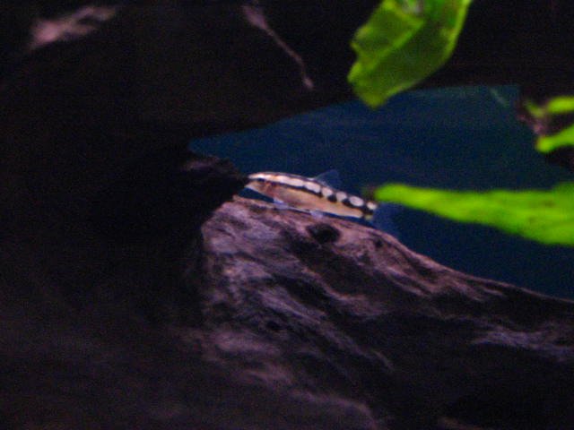 IMG_1439.jpg