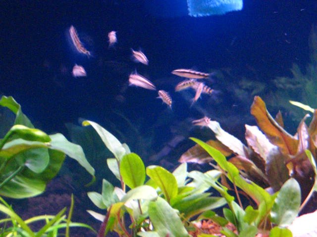 IMG_1440.jpg