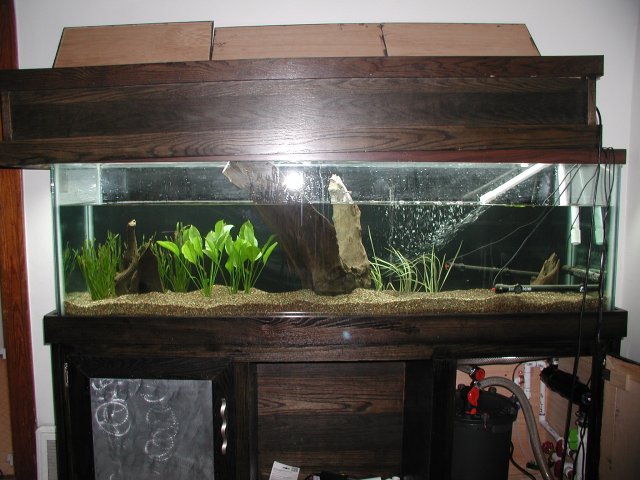 PIC00025.JPG