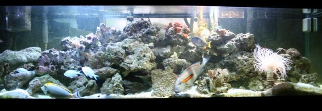 full_tank2.JPG