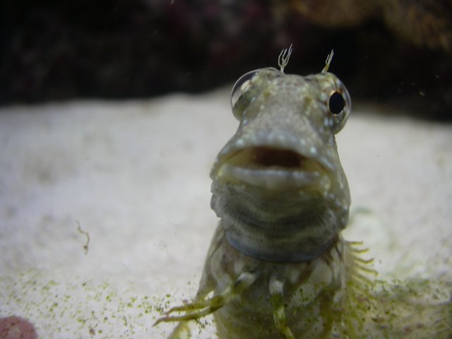 new tank 200.jpg
