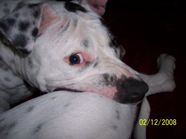 000_6292.JPG