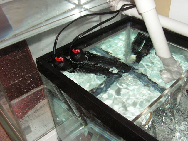 Tank Test 002.jpg