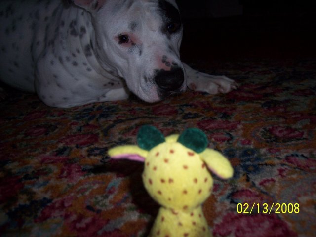 000_6307.JPG