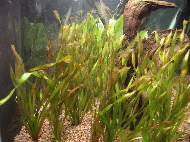 PIC00044.JPG