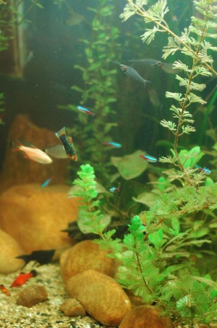 DSC_9188.jpg