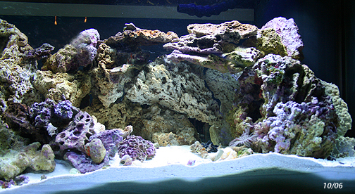 rightsidetank~2006.jpg
