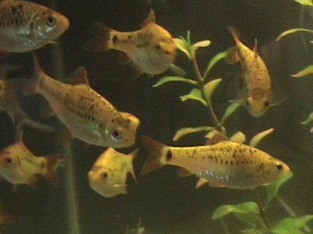 DSC00632.JPG