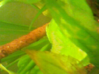 Photo-0055.jpg