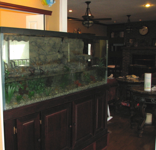 IMG_2410a.jpg IMG_2410a.jpg