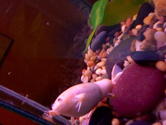 Photo 3.jpg