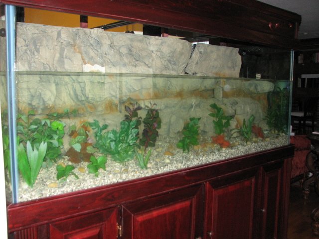 IMG_2419a.jpg