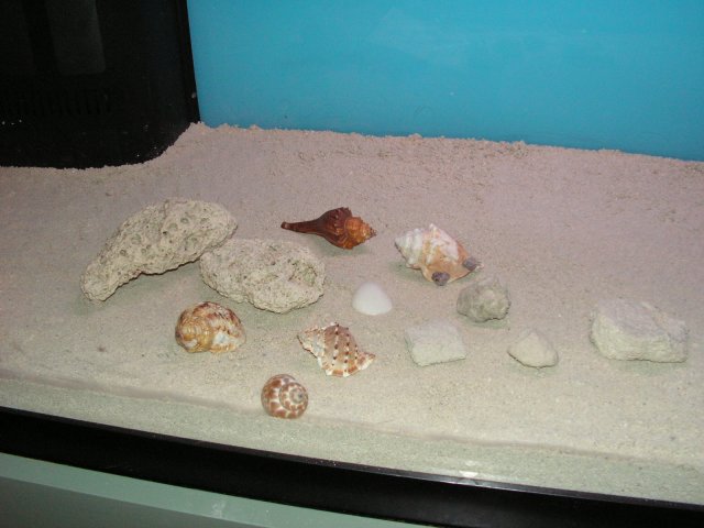 Sand 002.jpg
