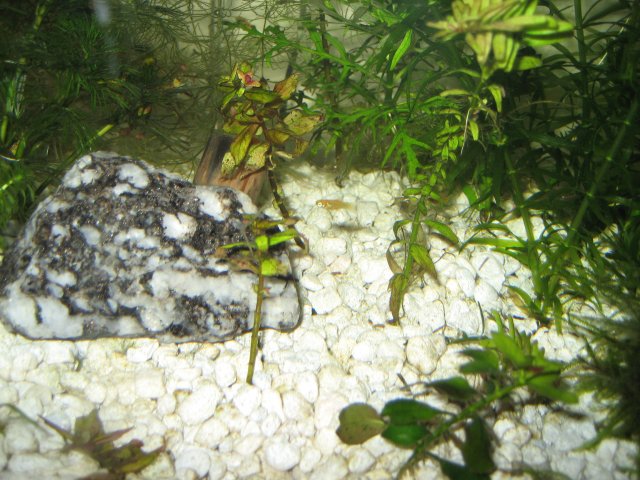 IMG_0431.jpg