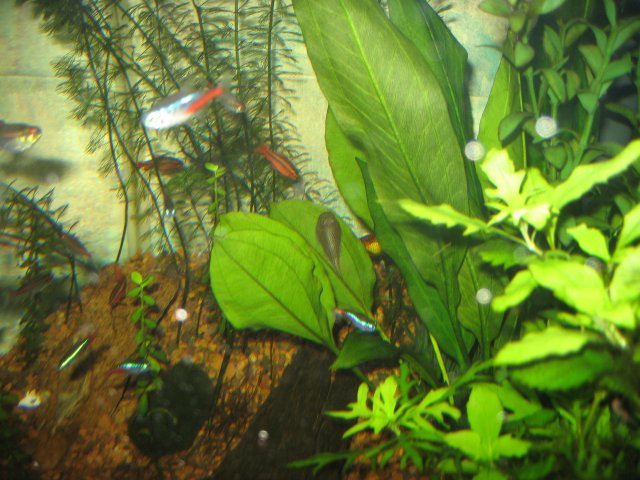 IMG_0381.jpg
