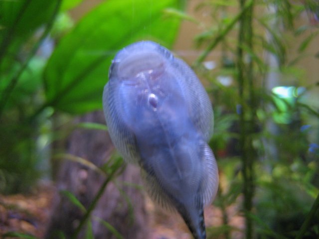 IMG_0460.jpg