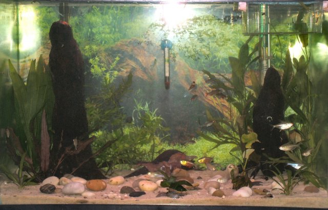 rescaped.JPG