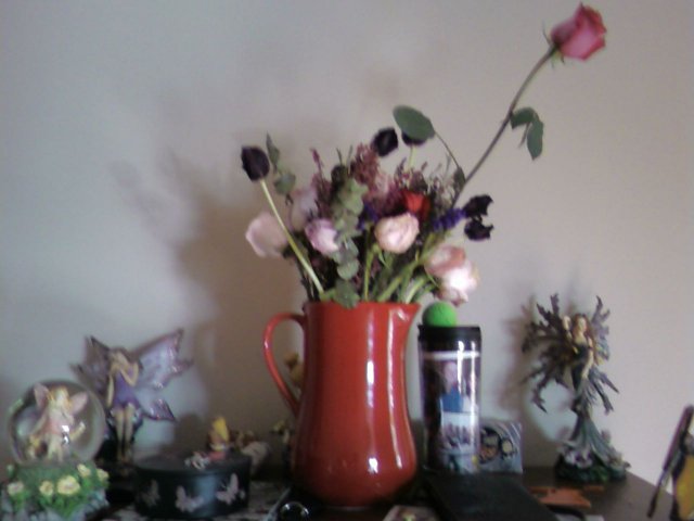 espieflowers.jpg