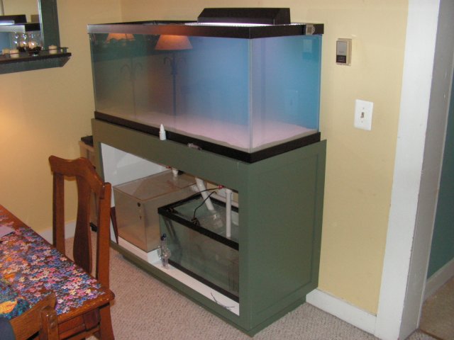 First fill 003.jpg