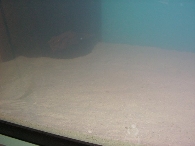 First fill 005.jpg
